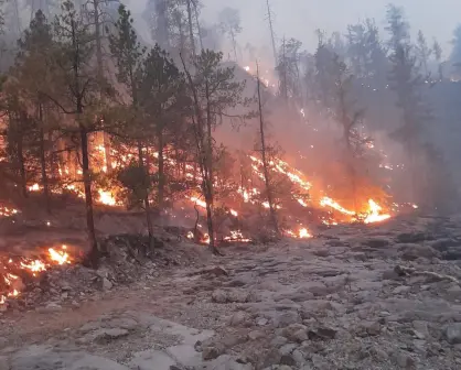 Avanza control de incendio forestal en Tepehuanes; este es el reporte del 26 de mayo de 2025
