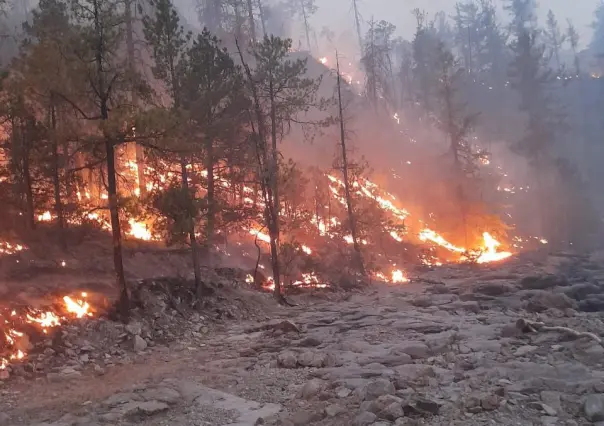 Avanza control de incendio forestal en Tepehuanes; este es el reporte del 26 de mayo de 2025