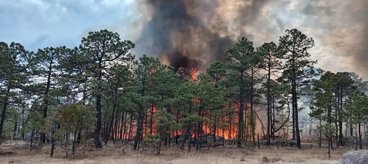 Reportan control del incendio forestal de Tepehuanes al 100% | Foto: Secretaría de Recursos Naturales y Medio Ambiente en Facebook.