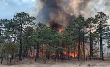 Incendio forestal en Tepehuanes controlado al 100%; esto dice Protección Civil