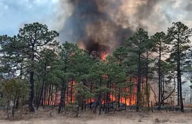 Incendio forestal en Tepehuanes controlado al 100%; esto dice Protección Civil