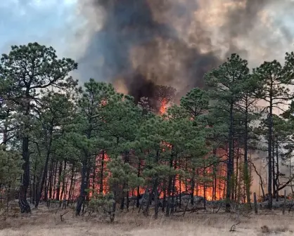Incendio forestal en Tepehuanes controlado al 100%; esto dice Protección Civil