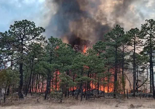 Incendio forestal en Tepehuanes controlado al 100%; esto dice Protección Civil
