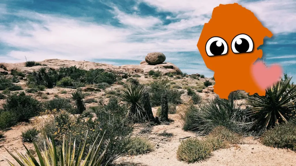 Este es el animal nativo más tierno que vive bajo Coahuila