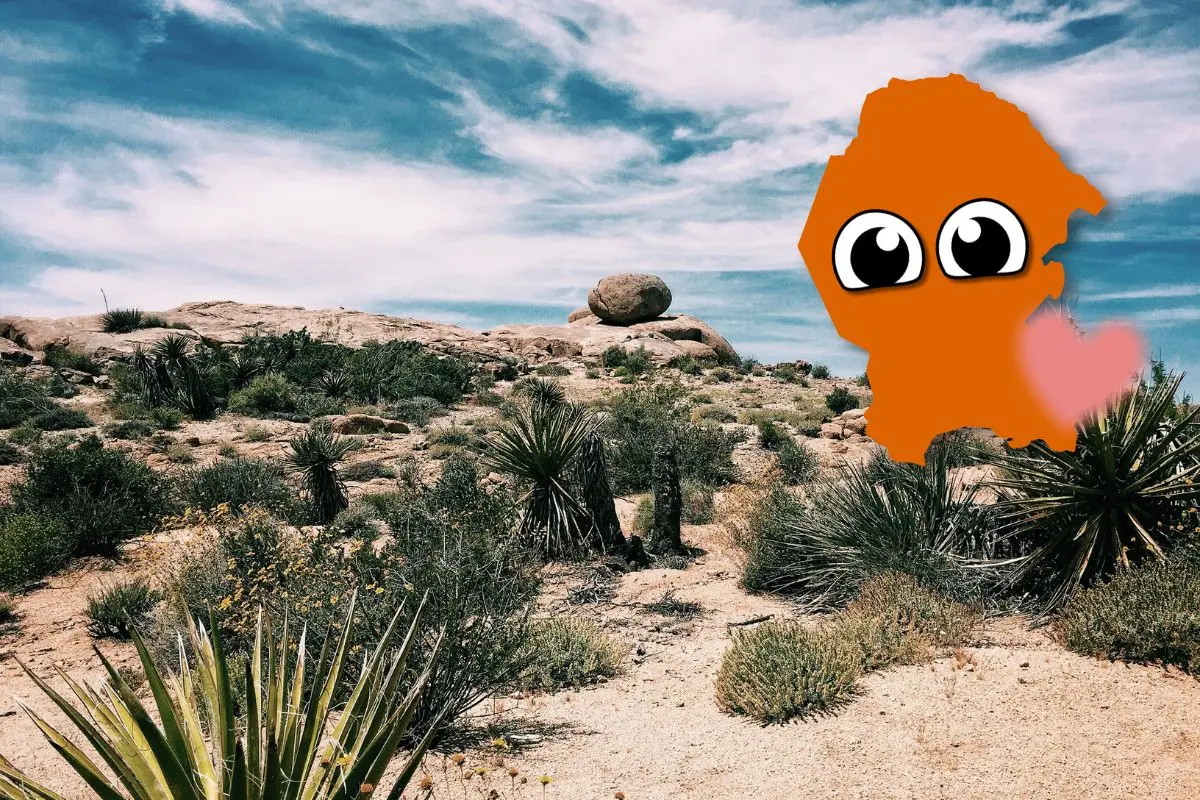 Conoce al animal más tierno de Coahuila / Composición de Canva
