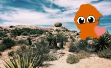 Este es el animal nativo más tierno que vive bajo Coahuila