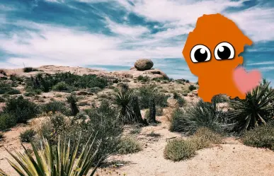 Este es el animal nativo más tierno que vive bajo Coahuila