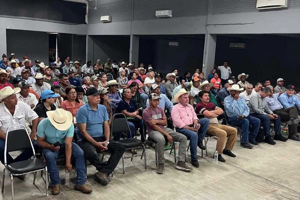 Tamaulipas ha sido declarado zona libre del gusano barrenador del ganado por el Servicio Nacional de Sanidad, Inocuidad y Calidad Agroalimentaria (SENASICA). Foto: SADER