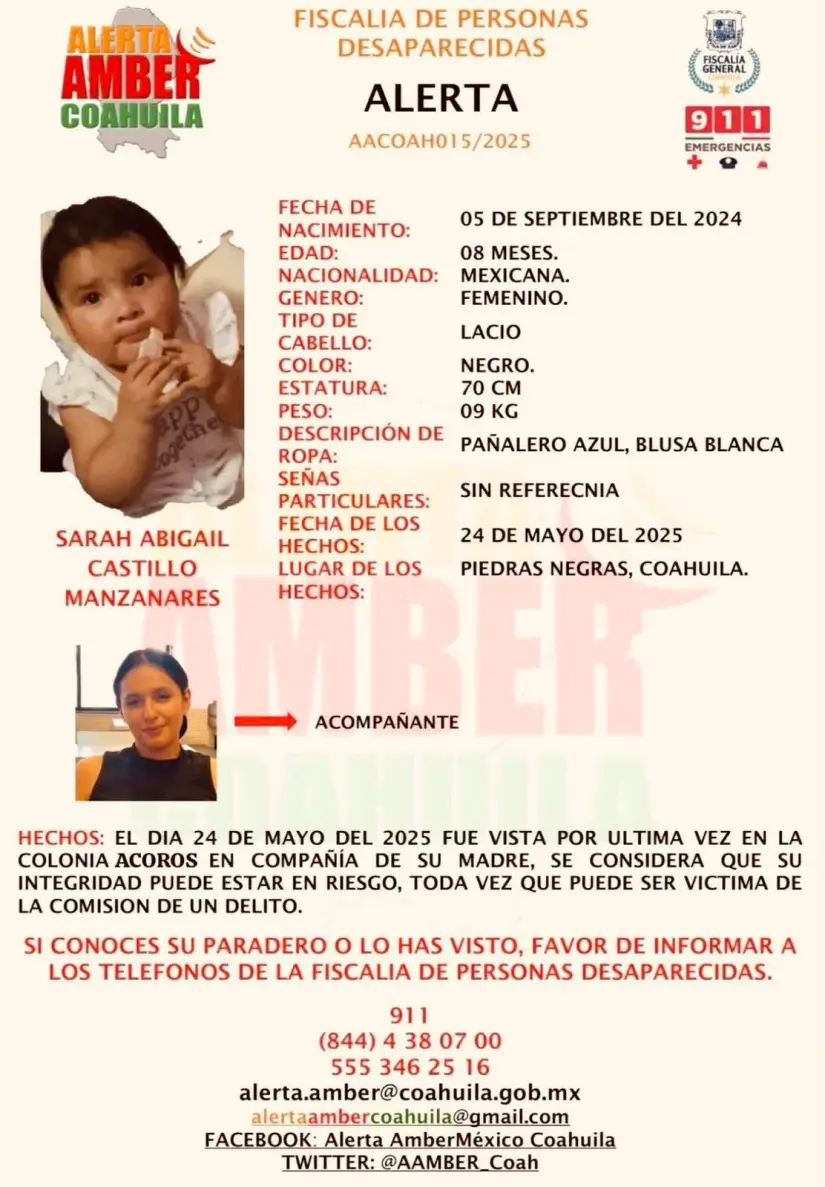 Ficha de búsqueda de la bebé desaparecida Sarah Abigaíl / Foto: FGE