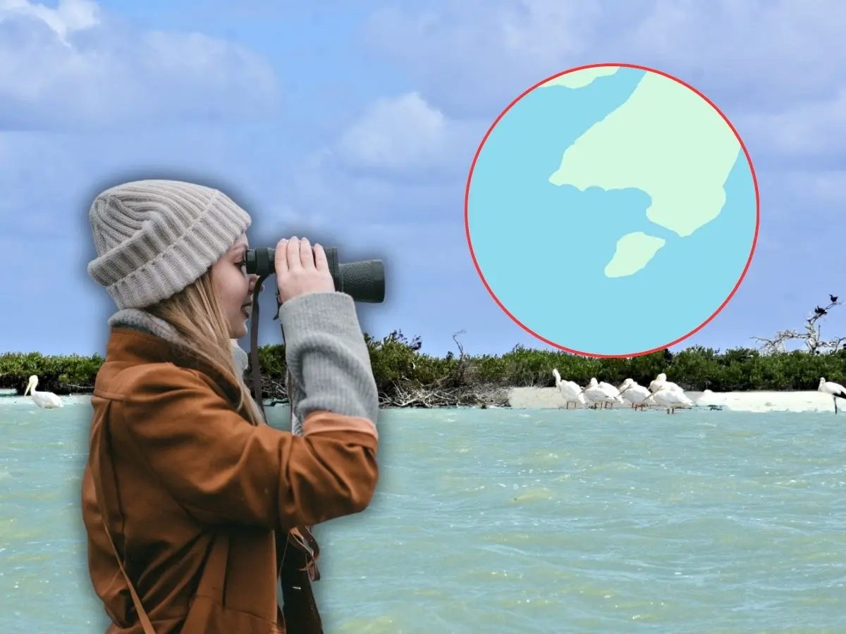 Este lugar es uno de los secretos mejor guardados de Campeche y visitarlo resulta una experiencia maravillosa por su entorno natural alejado de la civilización.- Fuente Canva, Google Maps y México Desconocido