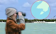Esta isla es ideal para la observación de aves en Campeche