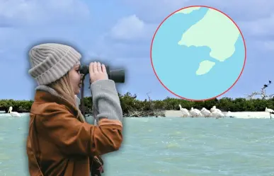 Esta isla es ideal para la observación de aves en Campeche