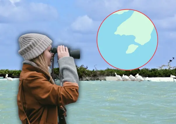 Esta isla es ideal para la observación de aves en Campeche