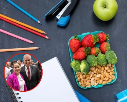 Estrategia Nacional de Nutrición, ¿sin profesionales de la Nutrición?