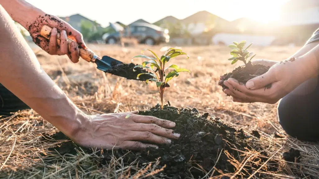 Ramos Arizpe lanza plan verde para iniciar reforestación, ¿en qué consiste? 