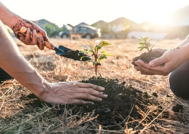 Ramos Arizpe lanza plan verde para iniciar reforestación, ¿en qué consiste? 