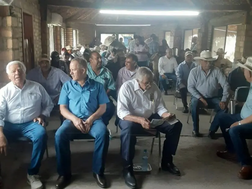 imagen recuadro