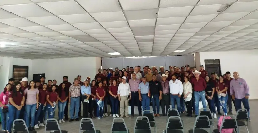 imagen recuadro
