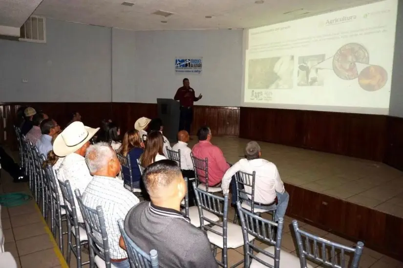 imagen recuadro
