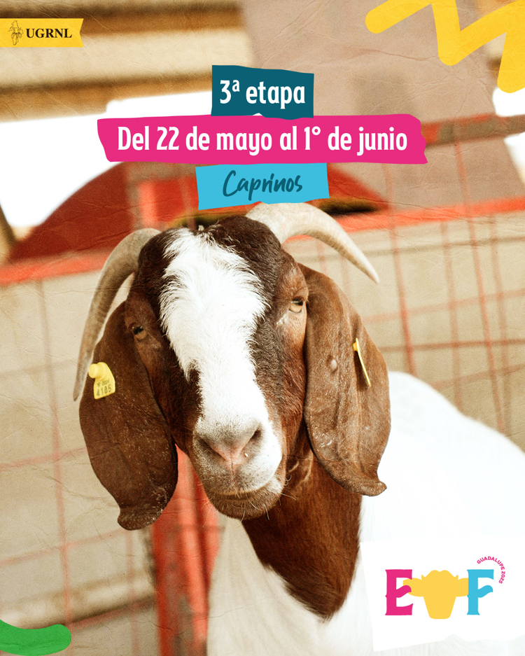 imagen-cuerpo imagen-cuerpo