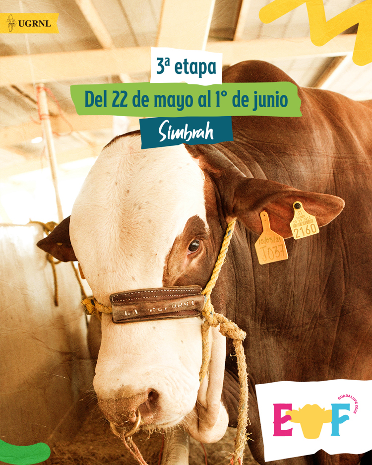 imagen-cuerpo imagen-cuerpo