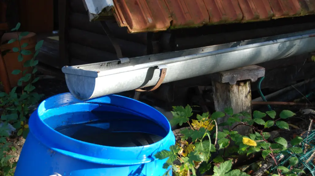 ¡Aprovecha el agua de lluvia! 3 formas en las que puedes usarla en casa