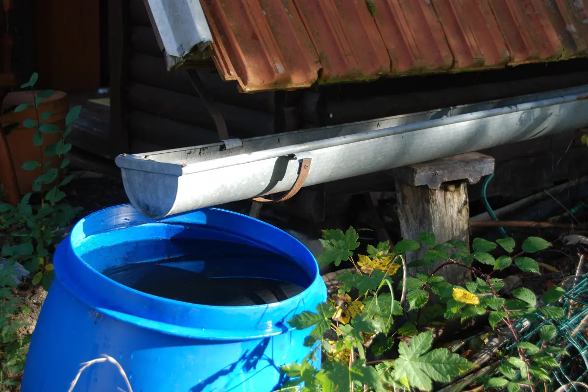 Aprovechar el agua de lluvia durante la temporada de lluvias es una solución sostenible que puede ayudar en zonas con escasez de agua potable. Foto: Canva
