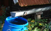 ¡Aprovecha el agua de lluvia! 3 formas en las que puedes usarla en casa