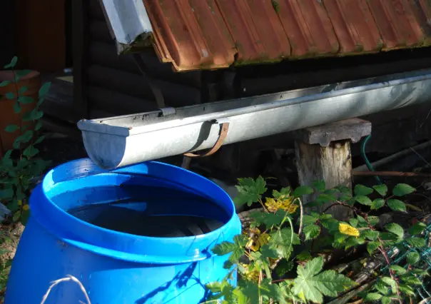 ¡Aprovecha el agua de lluvia! 3 formas en las que puedes usarla en casa
