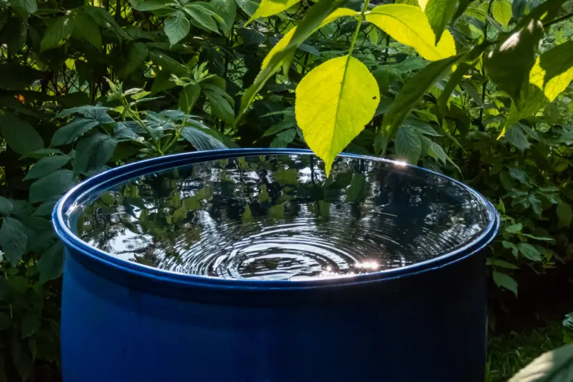 La recolección de agua de lluvia se convierte en una alternativa valiosa en lugares donde el suministro es limitado. Foto: Canva