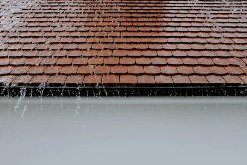 Recoger agua de lluvia en temporada de lluvias se presenta como una estrategia efectiva para enfrentar la falta de este recurso vital. Foto: Canva