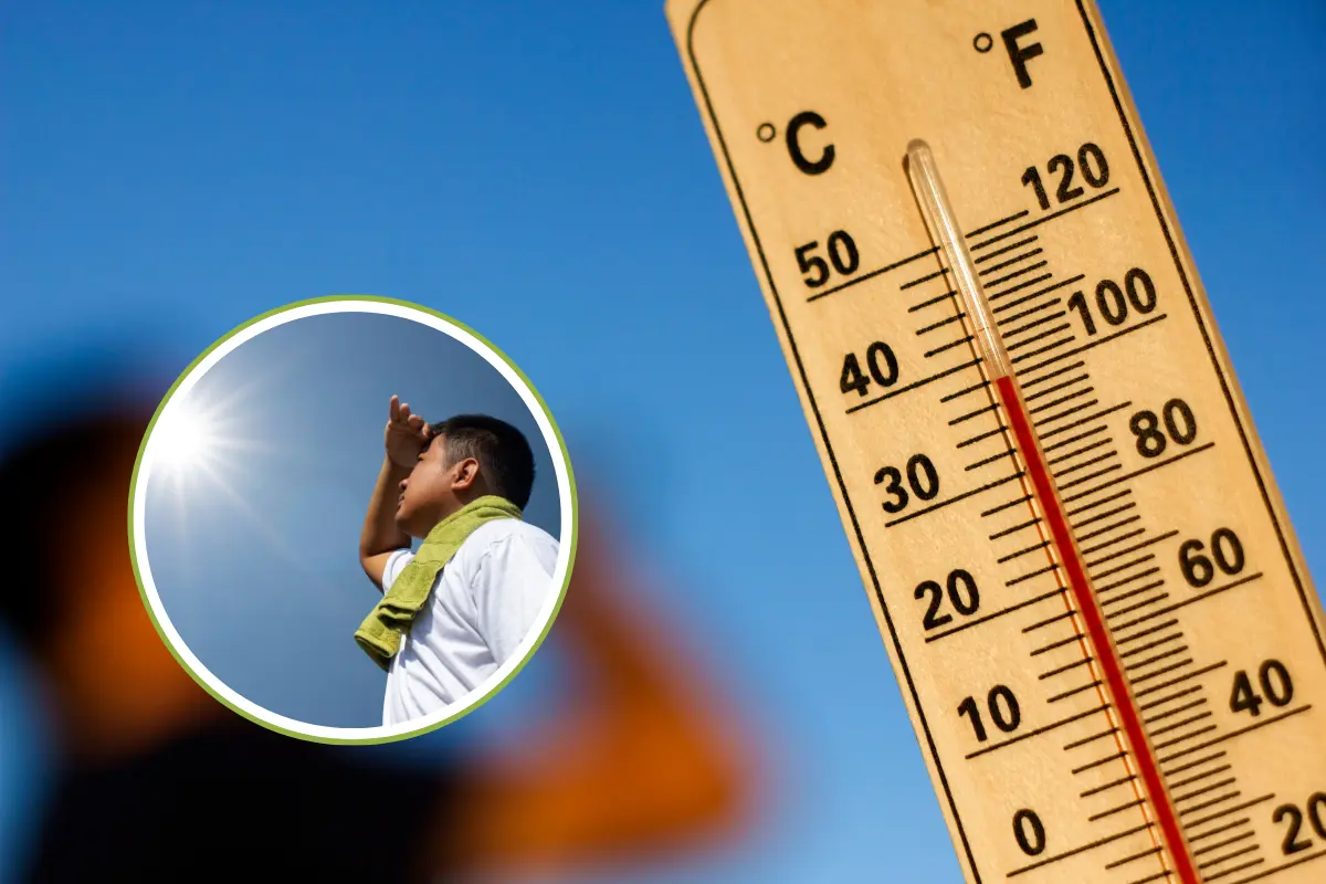 En Baja California Sur se esperan hasta 40°C de temperaturas en esta temporada. Fotos: Canva.