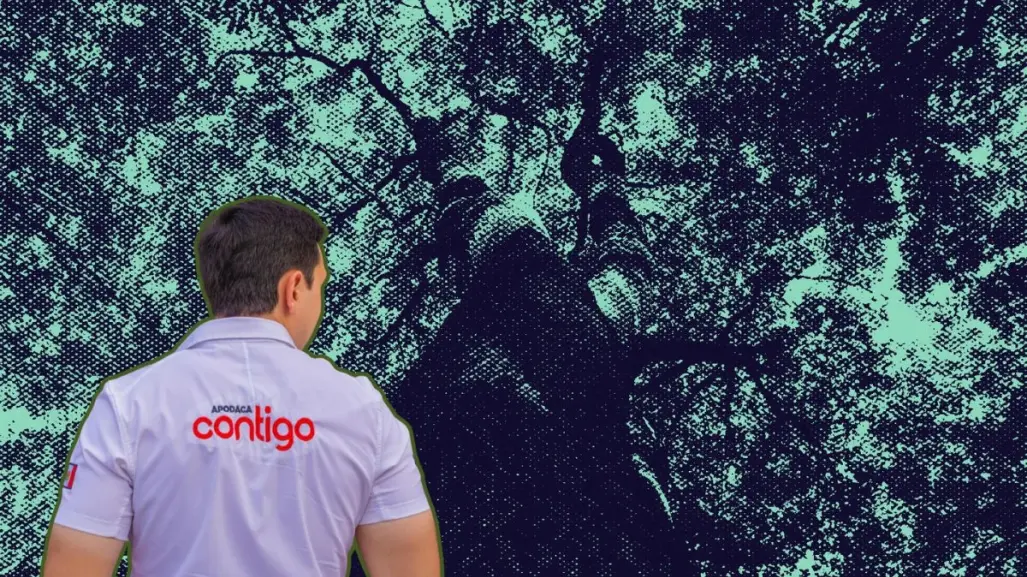 César Garza Arredondo impulsa arborización en vialidades del municipio de Apodaca