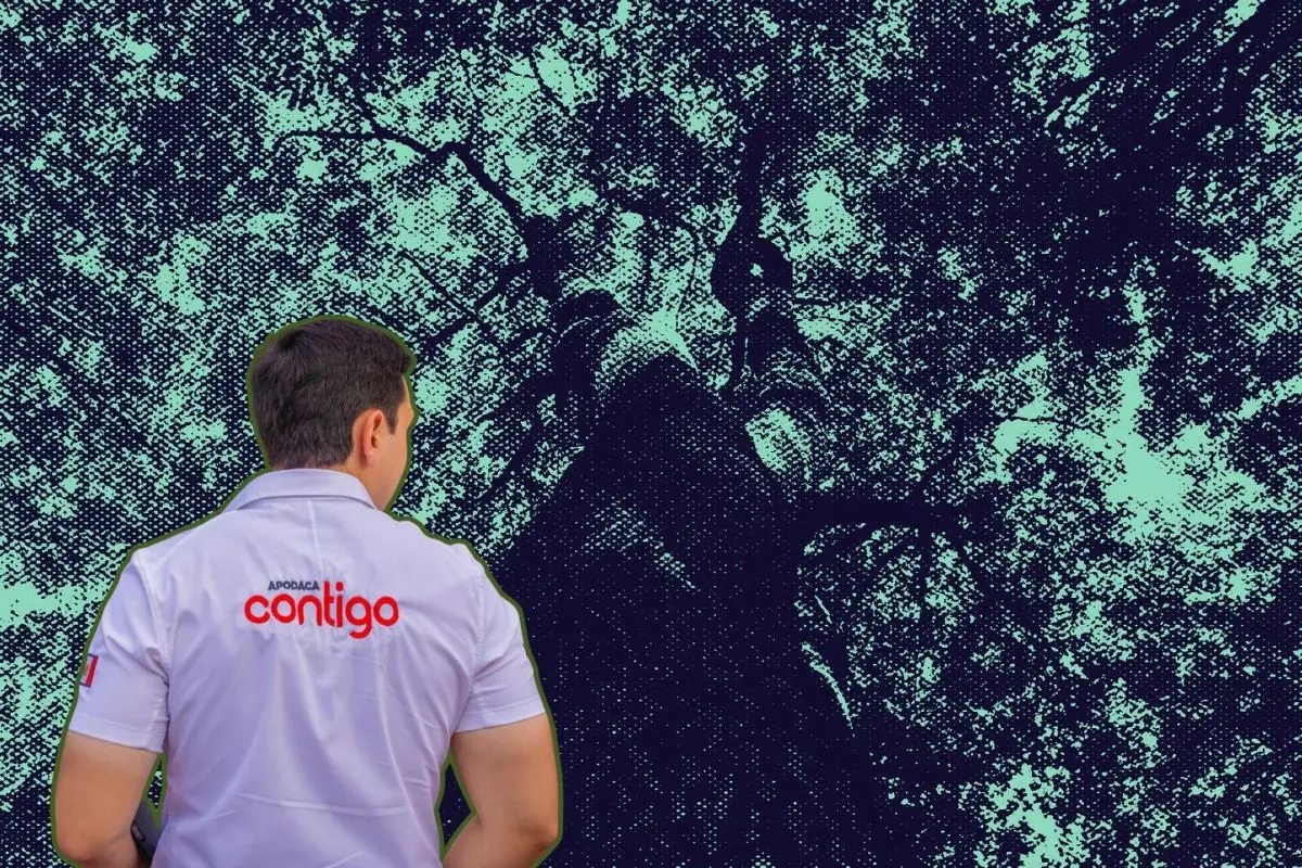 Esta iniciativa se suma a los trabajos de recarpeteo en diversas zonas de la ciudad, y tiene como objetivo convertir a Apodaca en un lugar más seguro, funcional y sustentable para sus habitantes. Foto: CANVA / César Garza Arredondo