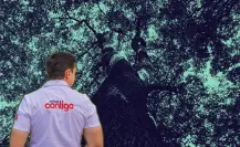 César Garza Arredondo impulsa arborización en vialidades del municipio de Apodaca
