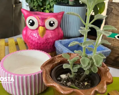 VIDEO | El Jardín de Esperanza: un negocio que florece con inclusión en Toluca