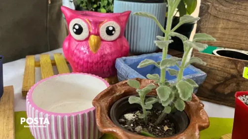 VIDEO | El Jardín de Esperanza: un negocio que florece con inclusión en Toluca