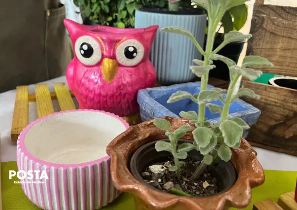 VIDEO | El Jardín de Esperanza: un negocio que florece con inclusión en Toluca