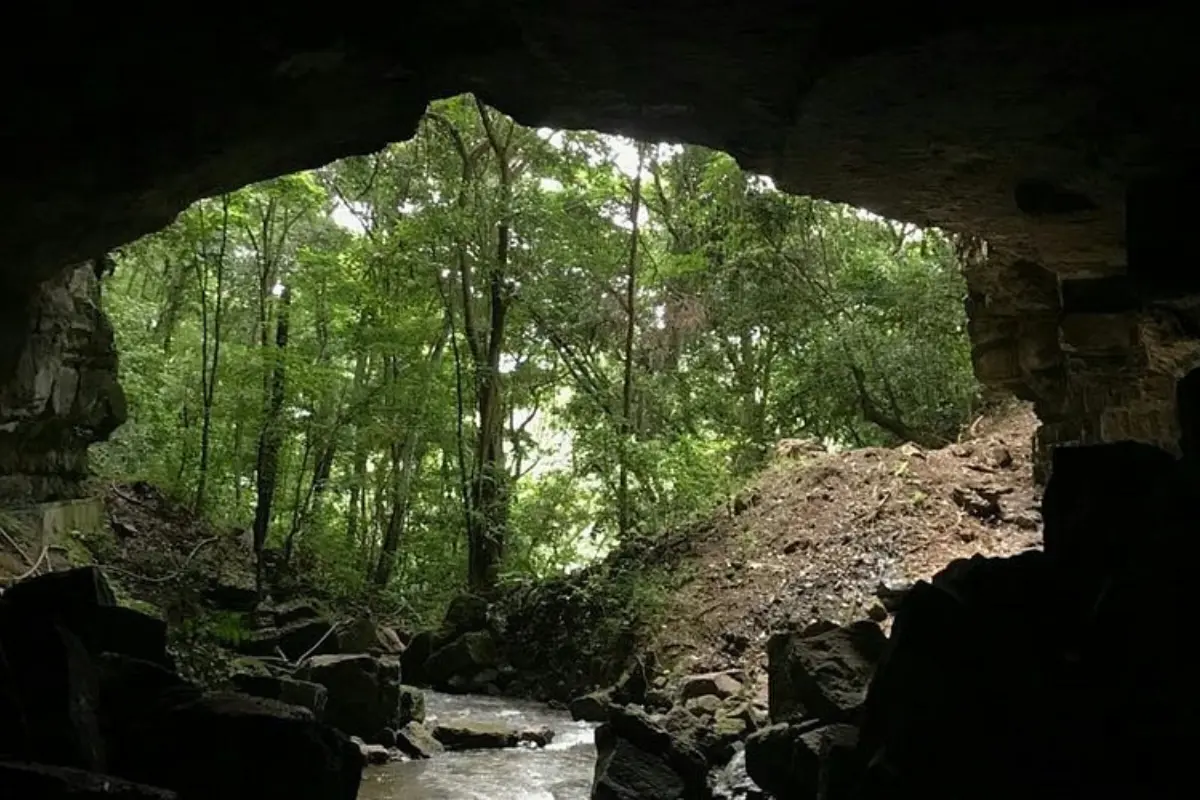 Entre formaciones rocosas, pasadizos inexplorados y leyendas locales, la Cueva del Nacimiento es un tesoro natural que deslumbra a quienes se atreven a adentrarse en su profundidad. INAH