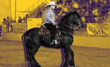 Expo Feria Guadalupe 2025 celebra con show de caballos bailadores