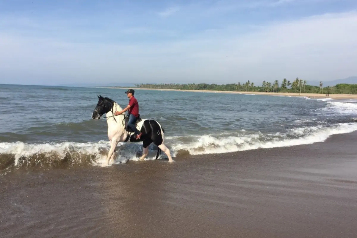 Los paseo a caballo por la playa son una de las actividades que se ofrecen en Boca de Chila. Foto: corazondenayarit.com
