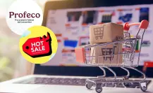 Hot Sale 2025: ¿Harás compras en línea? Esto debes hacer si no llega, según Profeco