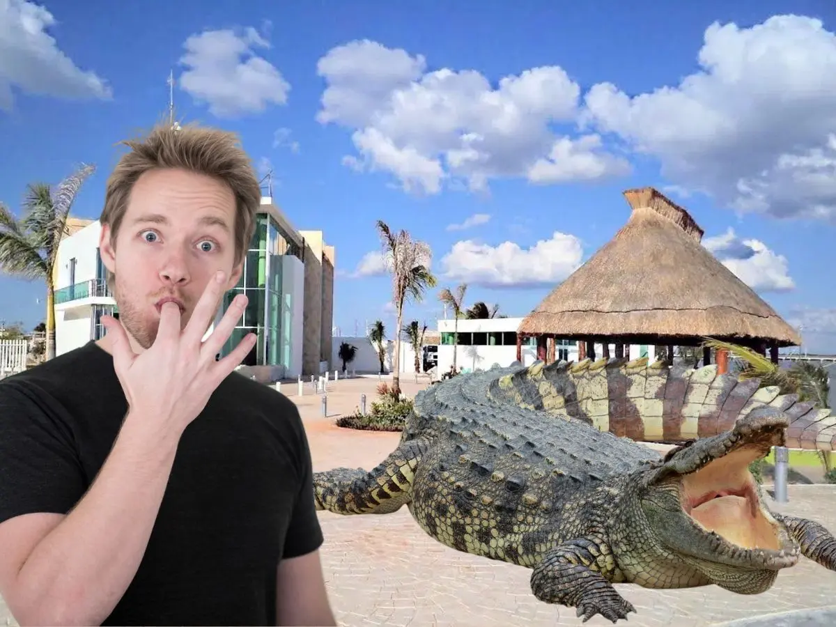 En Isla Arena está uno de los centros de crianza de cocodrilo más importantes de todo México y ahí, además de ver de cerca a esta especie, se puede deleitar el paladar disfrutando un platillo con su carne.- Fuente Tripadvisor y Canva