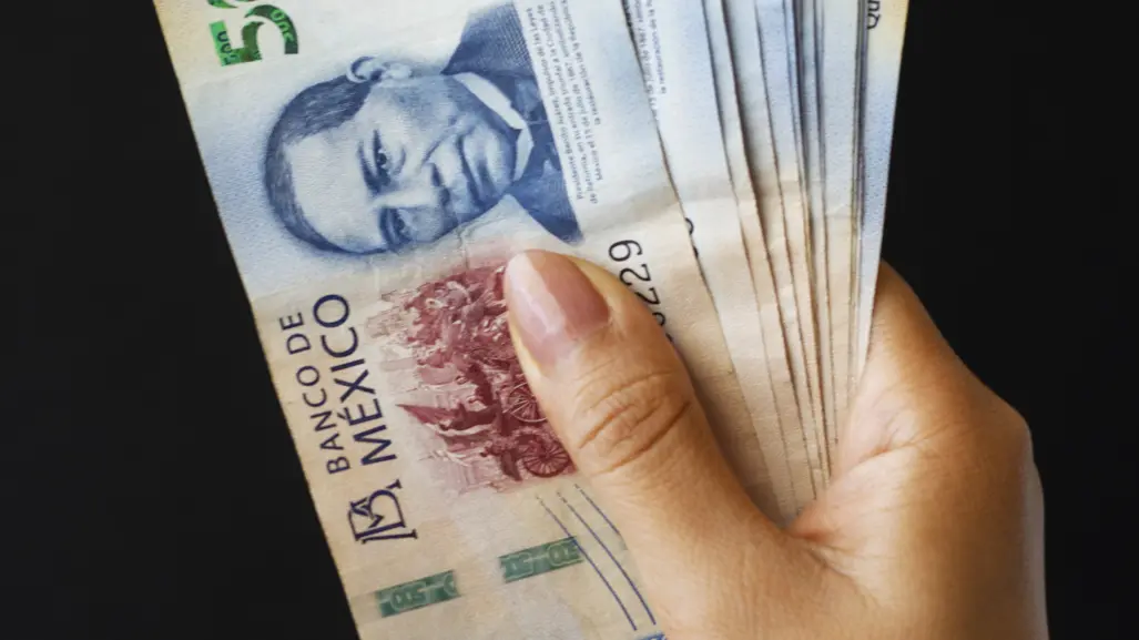 CURP obligatorio para compras en Edomex: descubre qué productos están incluidos