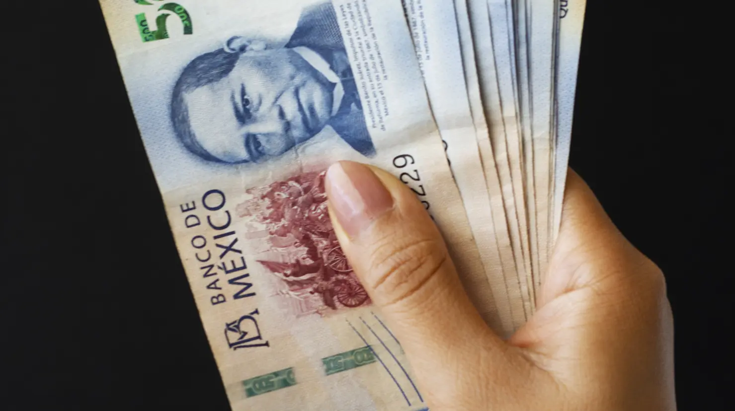 En Edomex será necesaria contar con CURP para comprar ciertos productos.Foto: Freepik
