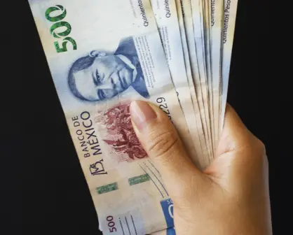 CURP obligatorio para compras en Edomex: descubre qué productos están incluidos