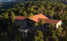 El increíble rincón del bosque de Durango en el que puedes ver lobos, venados y guajolotes