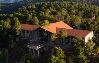 El increíble rincón del bosque de Durango en el que puedes ver lobos, venados y guajolotes
