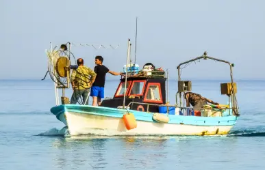 ¡De no creerse! Capturan pez de casi 300 kilos en costas de Paraíso, Tabasco