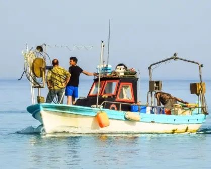 ¡De no creerse! Capturan pez de casi 300 kilos en costas de Paraíso, Tabasco